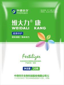 维大力·康