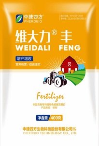 维大力·丰