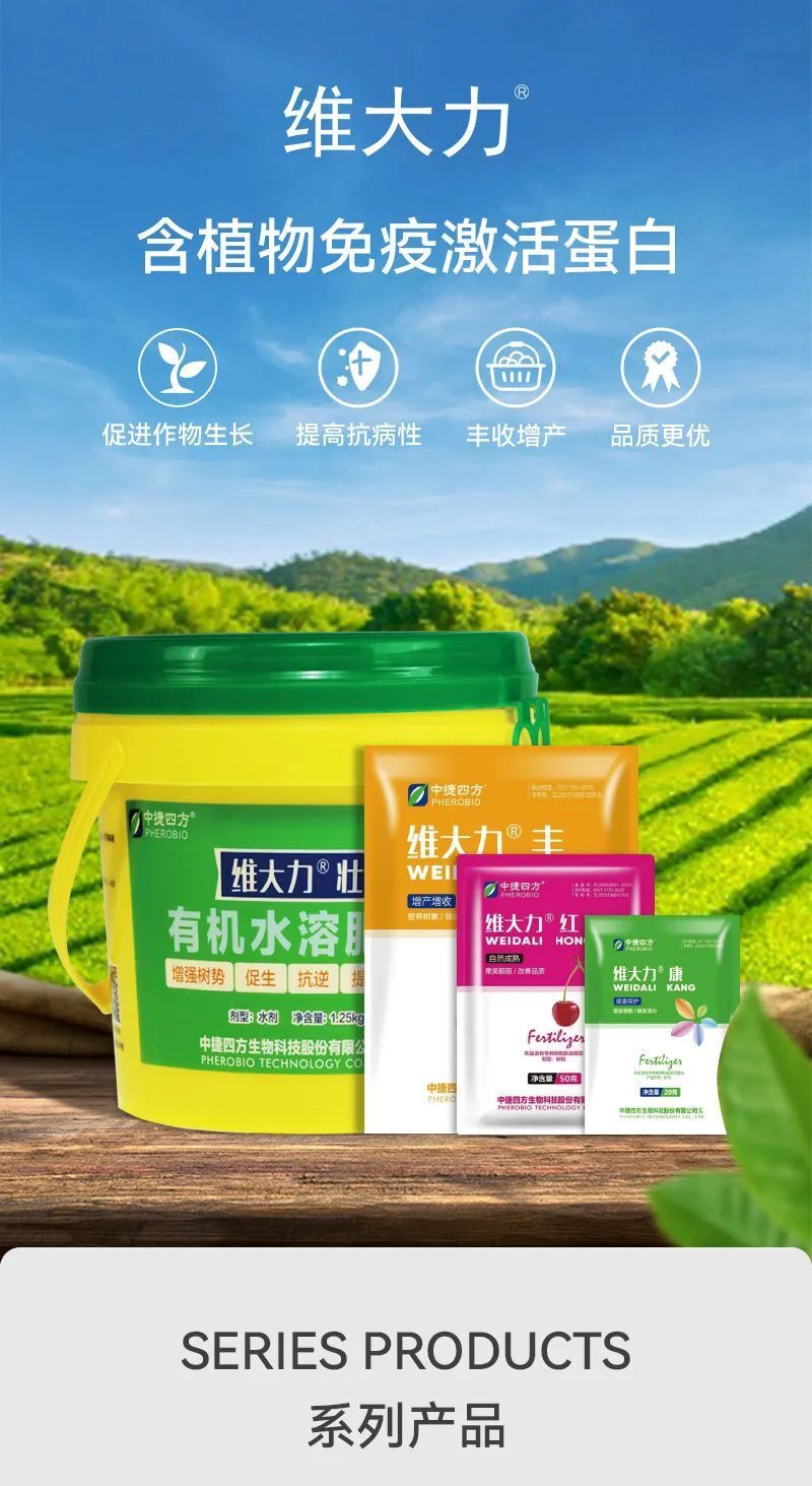 维达力