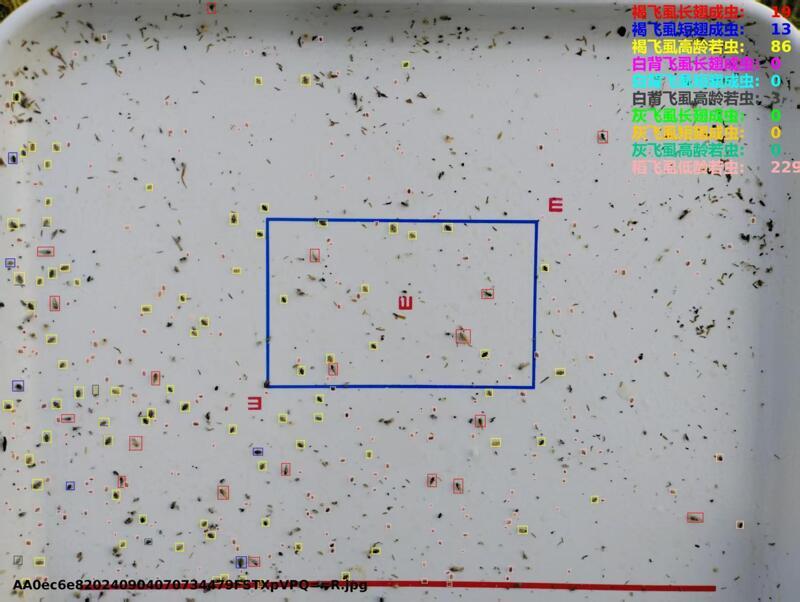 微信图片_2025-08-18_093812_513