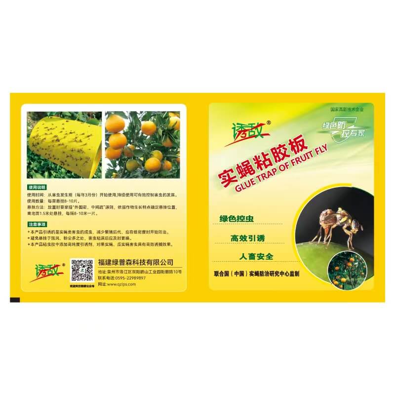 实蝇信息素粘虫板
